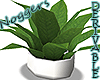 Potted Plants 3