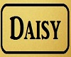Daisys' collar