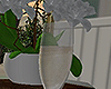Champagne Glass