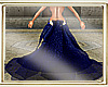Royal Blue Dress Train