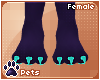 [Pets] Ame | feet F