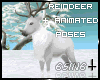 S N Reindeer + Poses