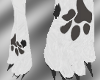 White Furry  Paws *male*
