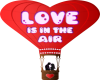 Hot air love