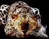 3d tiger picture