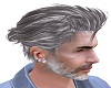 Hair old man Grey -