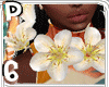 !APY !23 3 Tropical Lei