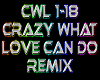 Crazy What Love... remix