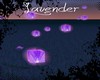 Lavender Sky Lantern