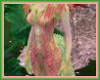 Coral Pixie 2