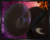 Zenafae Tail v3