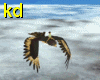 [KD] Flying Hawk
