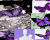 purple butterfly BG
