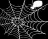 ~L&L~Spider Web