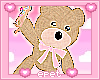 ʚ my bear ɞ