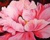 Pink Peony Painting