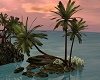 Island Rock / Palms