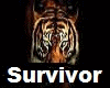 .D. Survivor Mix Tiger