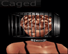  !!A!! Caged Head (F)