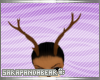 [S] Bambi Antlers F