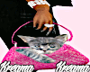 {BP} Cat + Bag👜