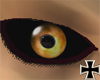 [RC] Chaozfire eyes