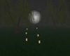Willow Forest V1