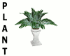 Decorative Plant 2