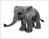 Baby Elephant animated