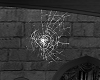 Haunted Spiderweb