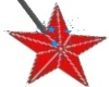 Red/Blue Star Wand