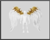Angel   Wings M/F
