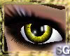 *SG* Yellow Shiny Eyes