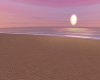 Sunset Beach