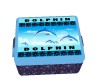 Dolphin Pocky box.