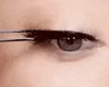 lashes