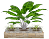 House Plants & Stand