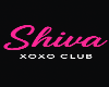 xoxo shiva merch