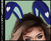 K. Bunny Ears Blue