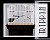 {B}Kellers Parrot Cage