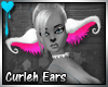 D~Curleh Ears: White