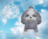 Baby Dog