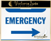 Hospital Emergency Sing