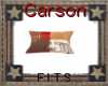 carson pillow