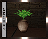 L/ Plant Vase K6