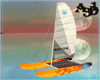 A3D* Catamaran 4P