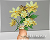 H. Daisy In Vase