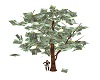 Money Tree $100 AUD