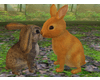 2 cute bunnies