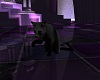 [!P] Sosin Anim. Kitty
